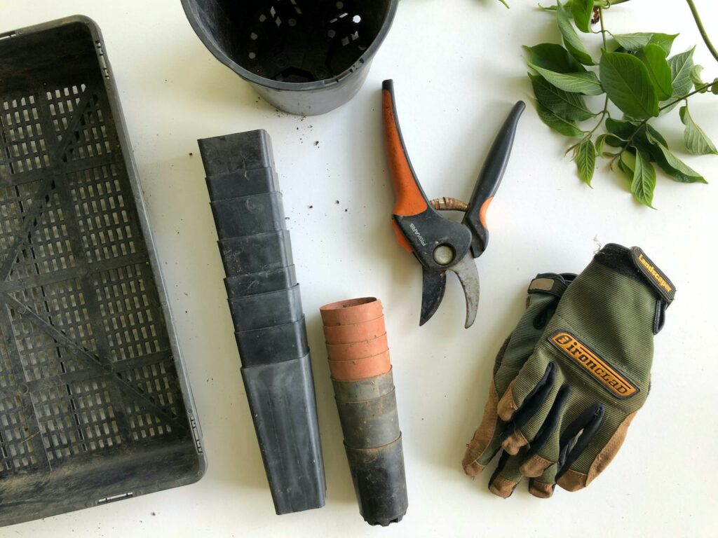 image of gardening tools